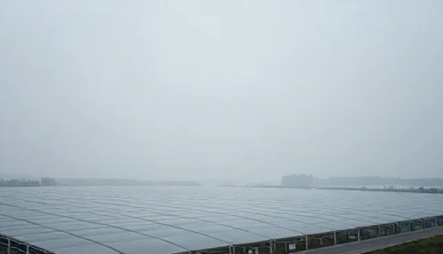 网络工程优化策略中的限制条件及处理方向