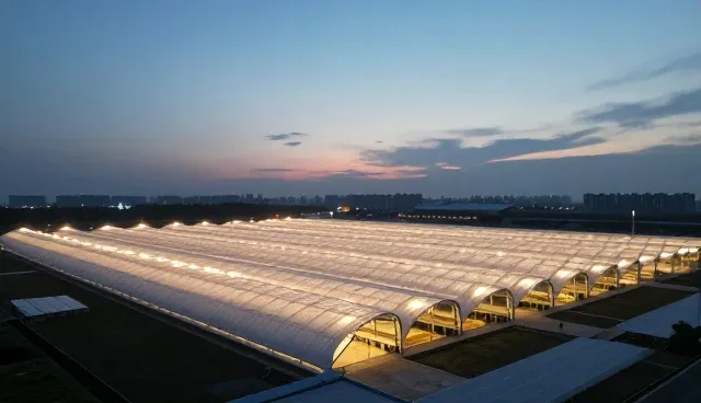 企业官网建设中小程序开发的适用情况与限制
